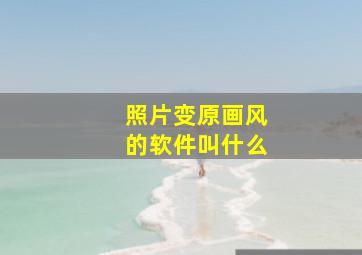 照片变原画风的软件叫什么