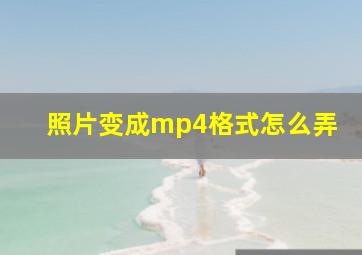 照片变成mp4格式怎么弄