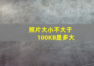 照片大小不大于100KB是多大