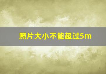 照片大小不能超过5m