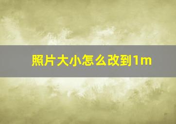 照片大小怎么改到1m