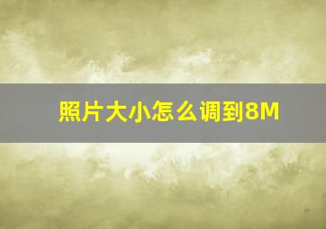 照片大小怎么调到8M