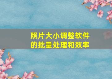 照片大小调整软件的批量处理和效率