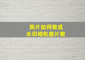 照片如何做成水印相机图片呢