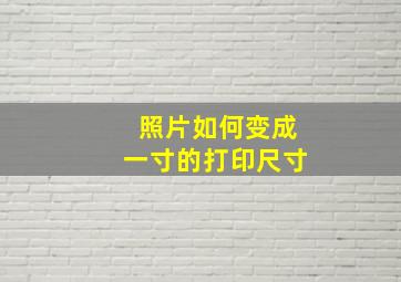 照片如何变成一寸的打印尺寸