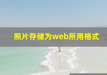 照片存储为web所用格式