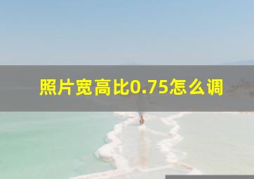 照片宽高比0.75怎么调