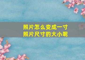 照片怎么变成一寸照片尺寸的大小呢