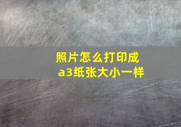 照片怎么打印成a3纸张大小一样