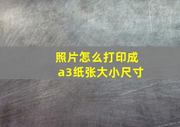 照片怎么打印成a3纸张大小尺寸