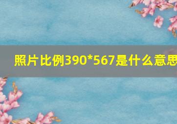 照片比例390*567是什么意思