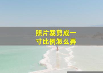 照片裁剪成一寸比例怎么弄