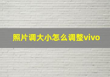 照片调大小怎么调整vivo