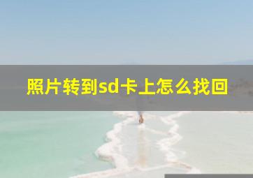 照片转到sd卡上怎么找回