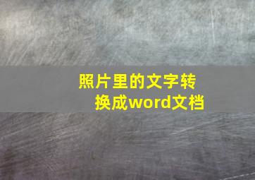 照片里的文字转换成word文档