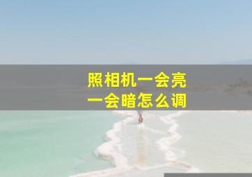 照相机一会亮一会暗怎么调