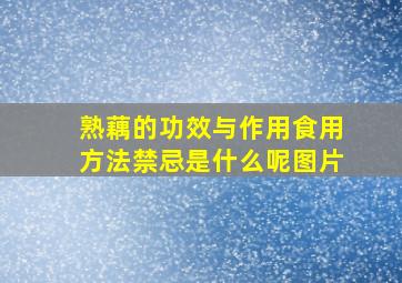 熟藕的功效与作用食用方法禁忌是什么呢图片