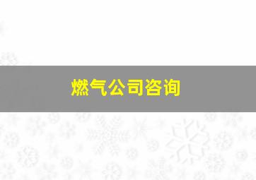 燃气公司咨询