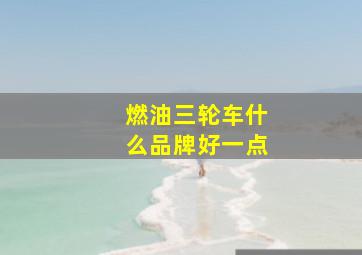 燃油三轮车什么品牌好一点