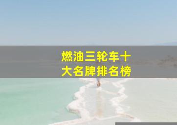 燃油三轮车十大名牌排名榜