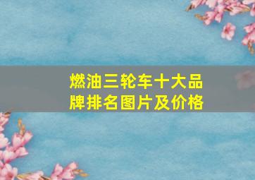 燃油三轮车十大品牌排名图片及价格