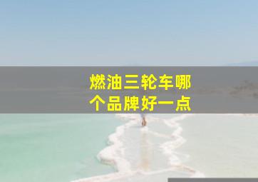 燃油三轮车哪个品牌好一点