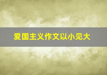 爱国主义作文以小见大