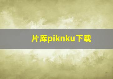 片库piknku下载