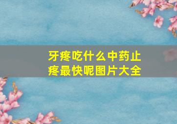 牙疼吃什么中药止疼最快呢图片大全