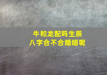 牛和龙配吗生辰八字合不合婚姻呢