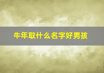 牛年取什么名字好男孩