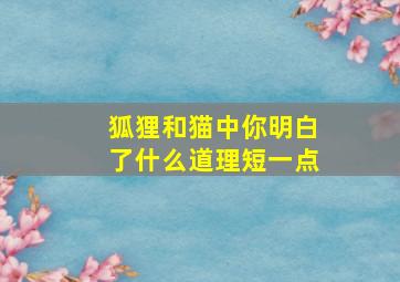 狐狸和猫中你明白了什么道理短一点