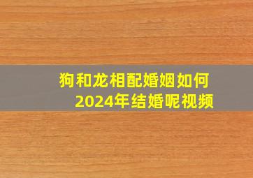 狗和龙相配婚姻如何2024年结婚呢视频