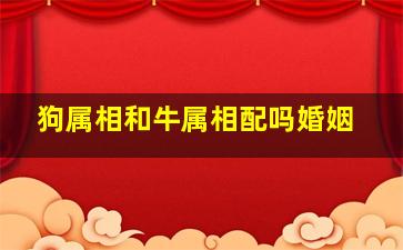 狗属相和牛属相配吗婚姻