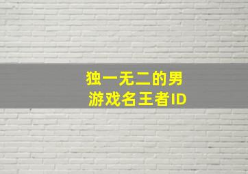 独一无二的男游戏名王者ID