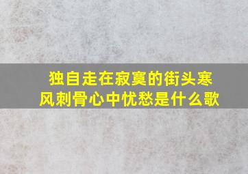 独自走在寂寞的街头寒风刺骨心中忧愁是什么歌