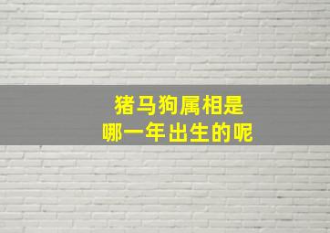 猪马狗属相是哪一年出生的呢