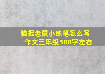 猫捉老鼠小练笔怎么写作文三年级300字左右