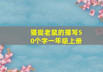 猫捉老鼠的描写50个字一年级上册