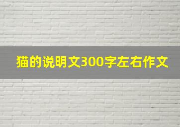 猫的说明文300字左右作文