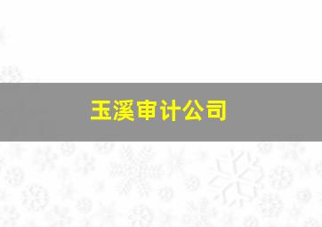 玉溪审计公司