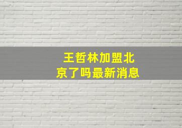 王哲林加盟北京了吗最新消息