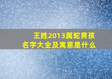 王姓2013属蛇男孩名字大全及寓意是什么