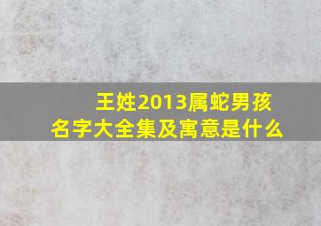 王姓2013属蛇男孩名字大全集及寓意是什么