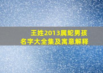 王姓2013属蛇男孩名字大全集及寓意解释