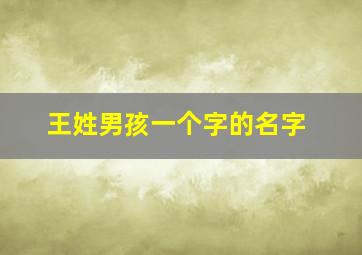 王姓男孩一个字的名字