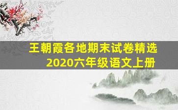 王朝霞各地期末试卷精选2020六年级语文上册