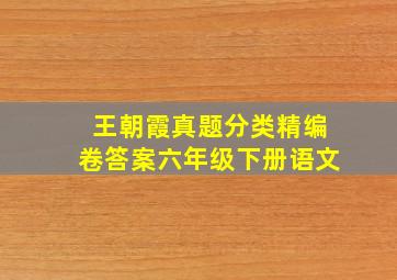 王朝霞真题分类精编卷答案六年级下册语文