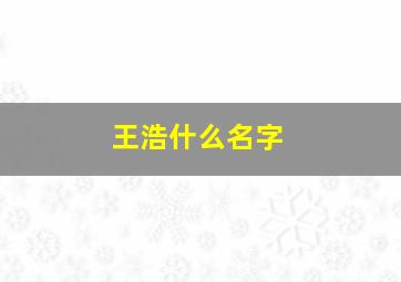 王浩什么名字