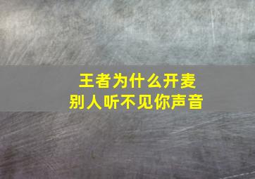 王者为什么开麦别人听不见你声音